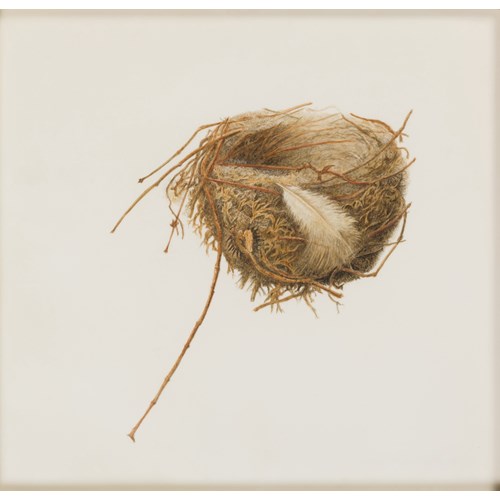 Wren’s Nest